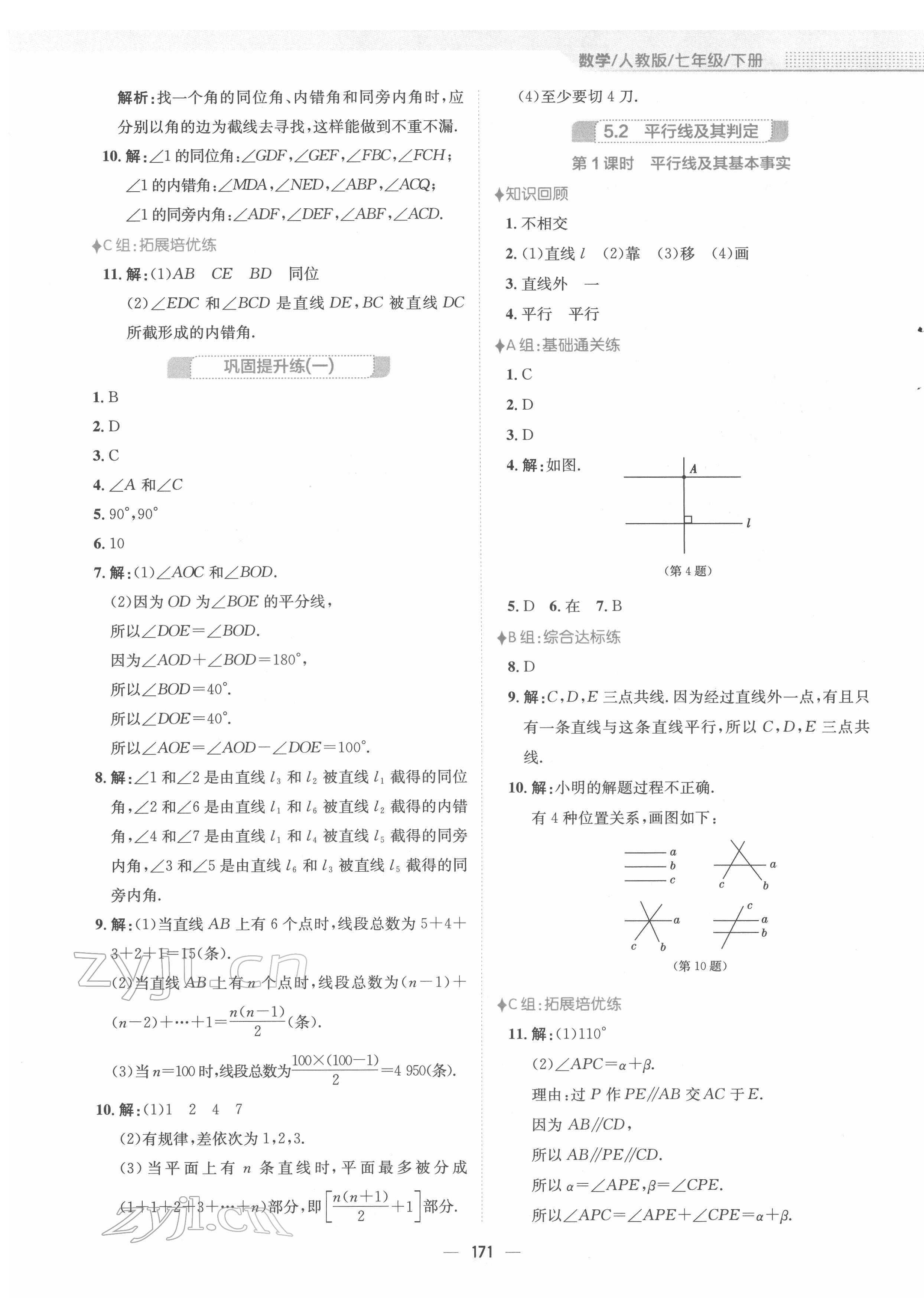 2022年新编基础训练七年级数学下册人教版 参考答案第3页