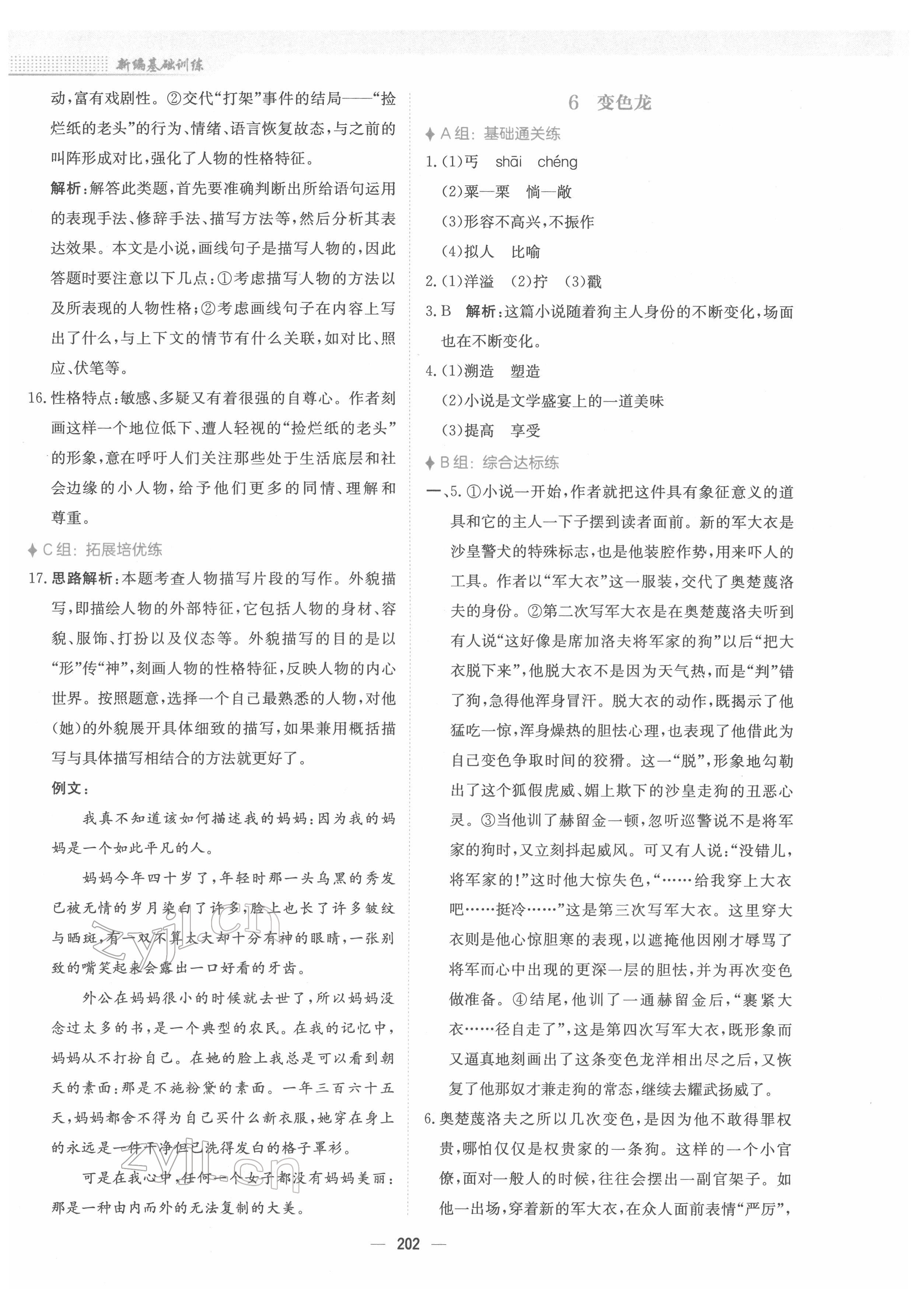 2022年新編基礎(chǔ)訓(xùn)練九年級語文下冊人教版 參考答案第6頁