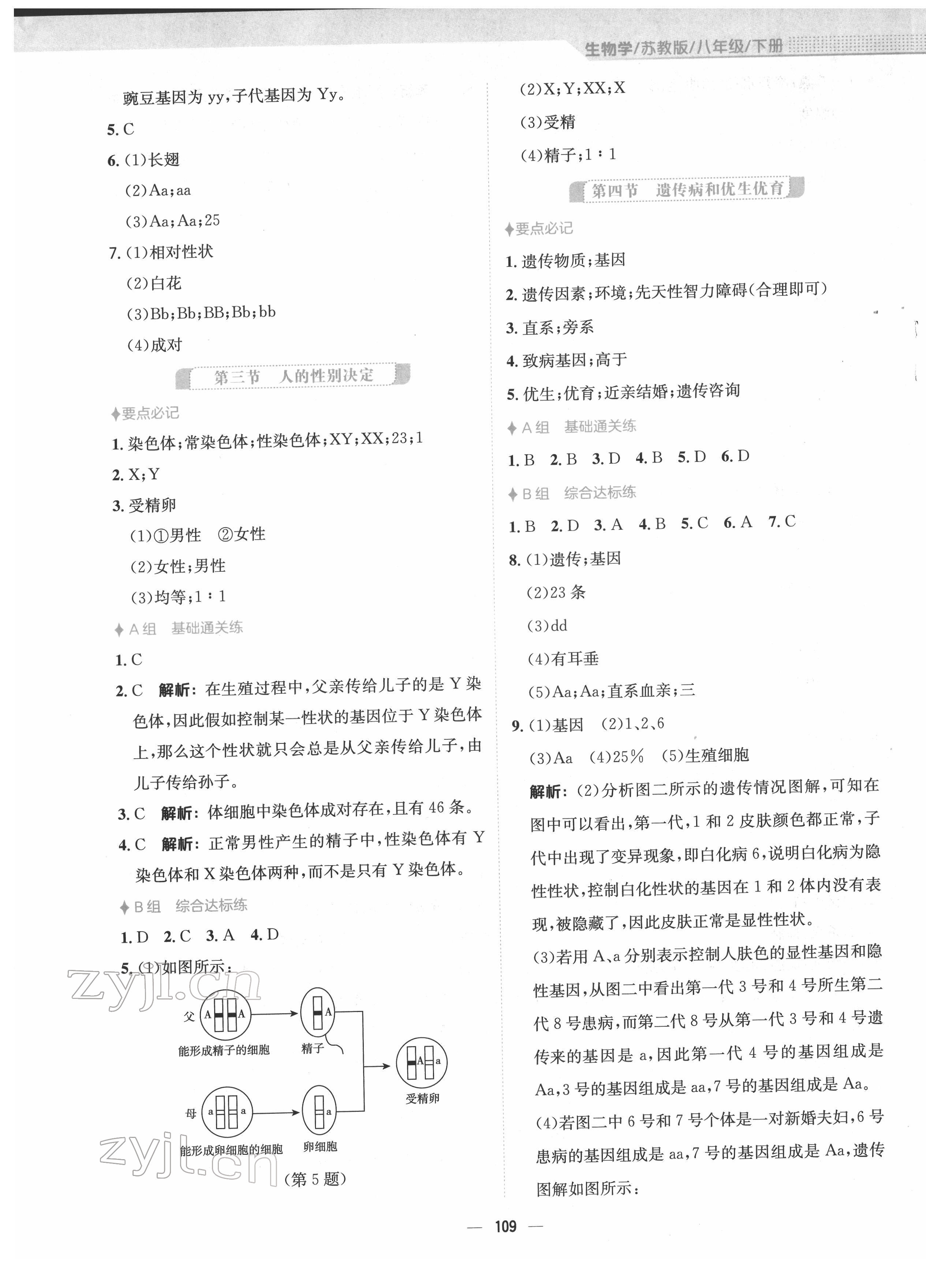 2022年新编基础训练八年级生物下册苏教版 第5页