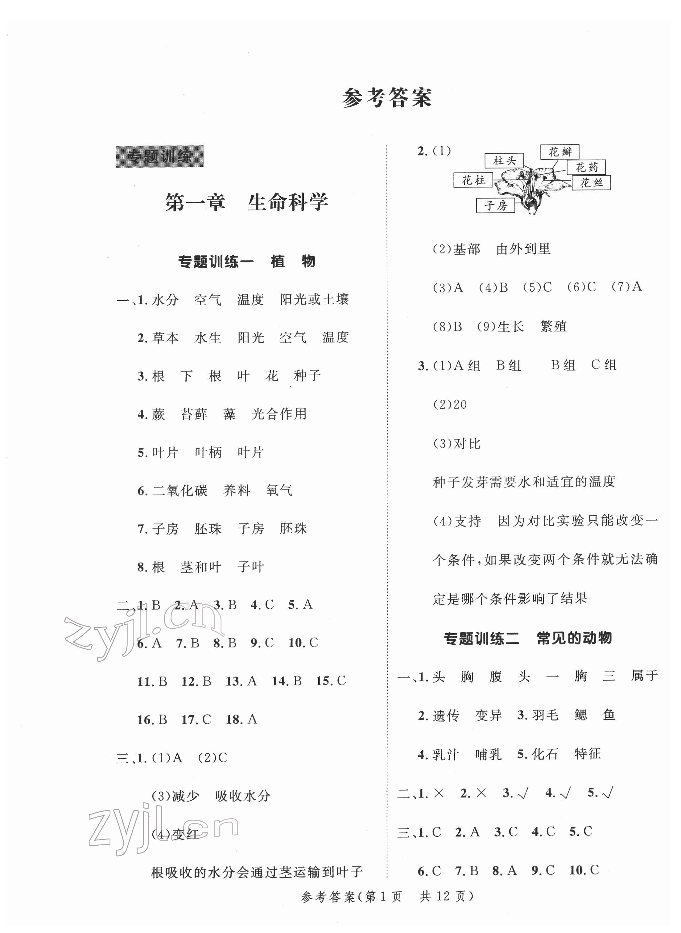 2022年新領(lǐng)程小學(xué)總復(fù)習(xí)高效練案科學(xué) 第1頁(yè)