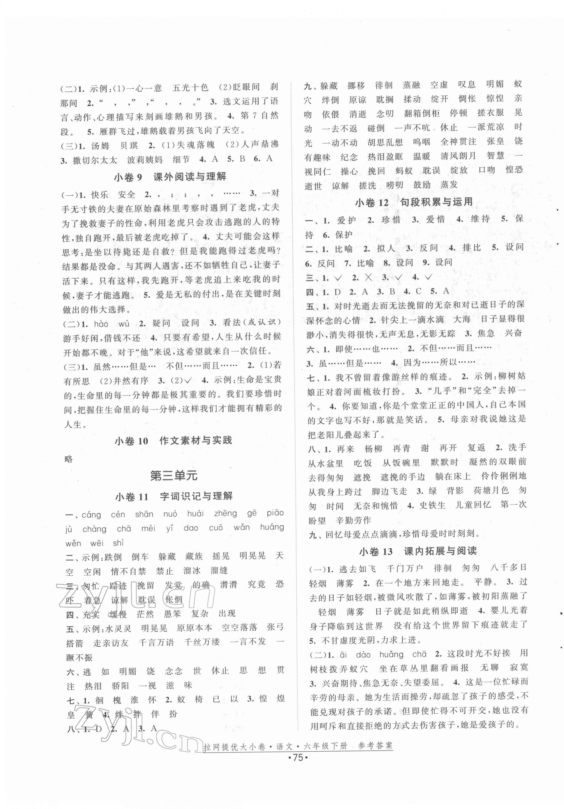 2022年拉網(wǎng)提優(yōu)大小卷六年級(jí)語(yǔ)文下冊(cè)人教版 第3頁(yè)