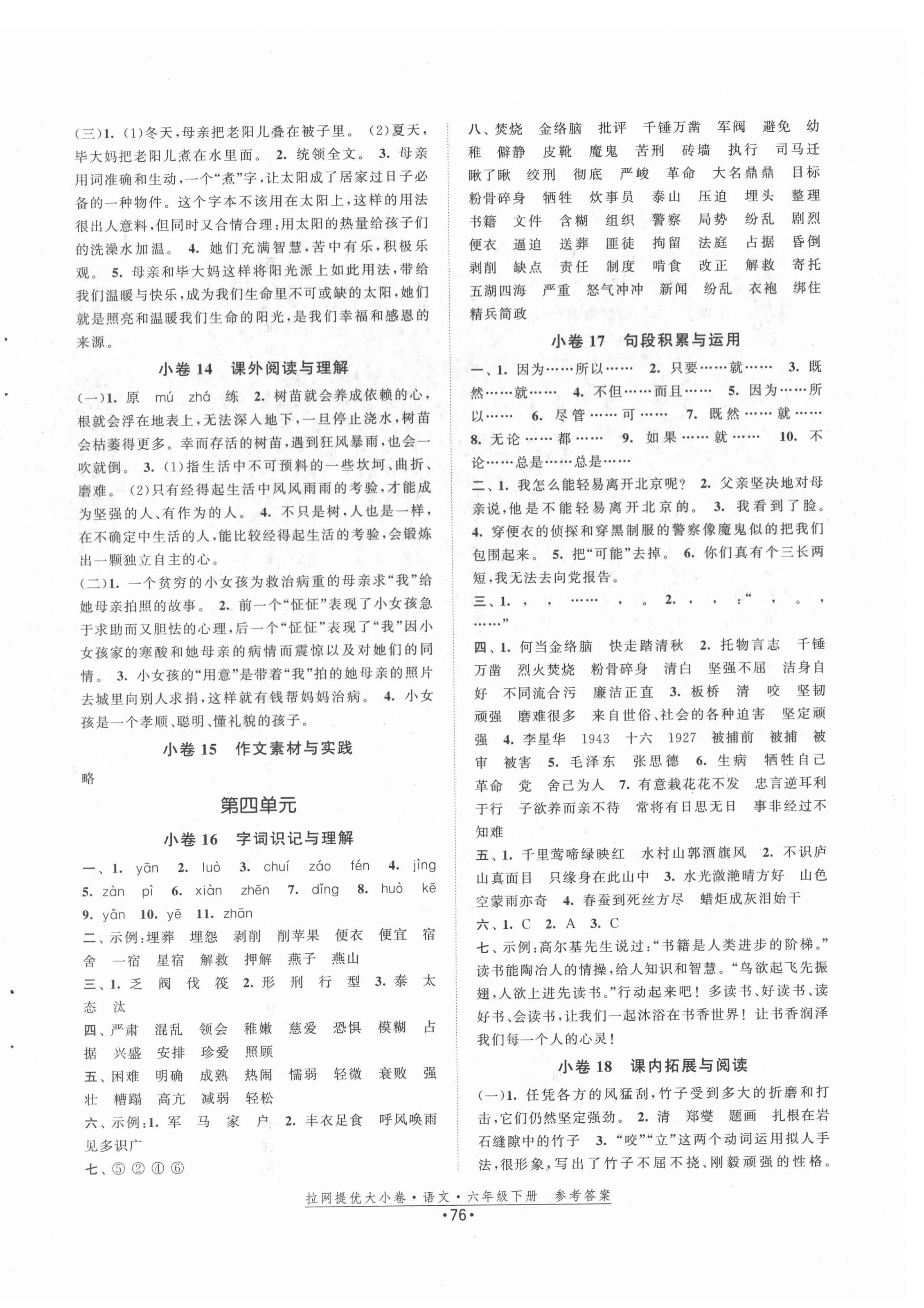 2022年拉網(wǎng)提優(yōu)大小卷六年級(jí)語(yǔ)文下冊(cè)人教版 第4頁(yè)