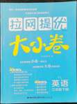 2022年拉網(wǎng)提優(yōu)大小卷三年級英語下冊譯林版