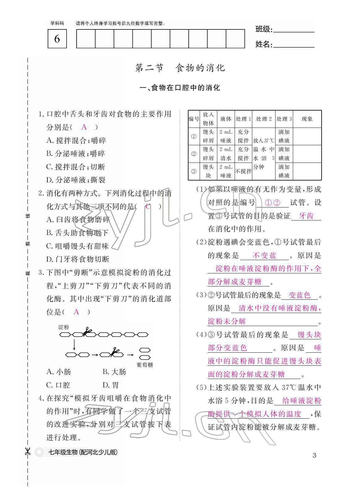 2022年作業(yè)本江西教育出版社七年級(jí)生物下冊(cè)冀少版 參考答案第3頁