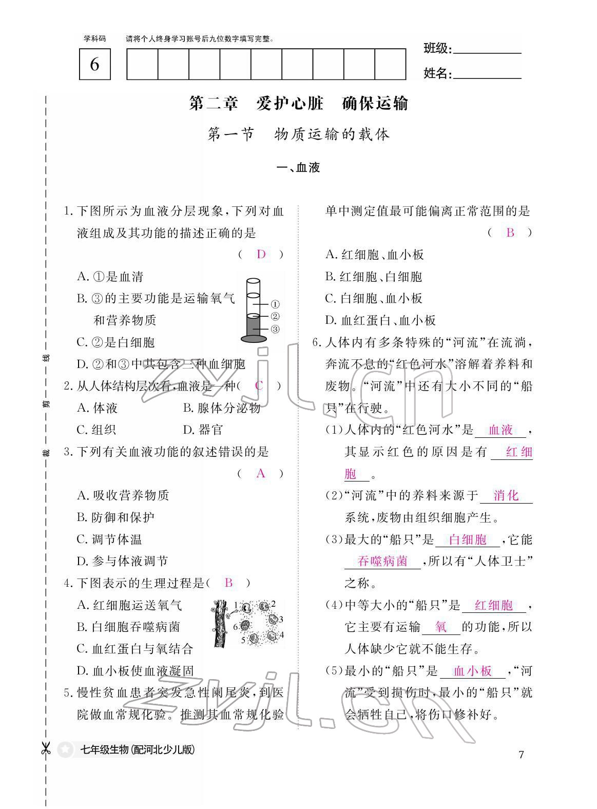 2022年作業(yè)本江西教育出版社七年級(jí)生物下冊(cè)冀少版 參考答案第7頁(yè)