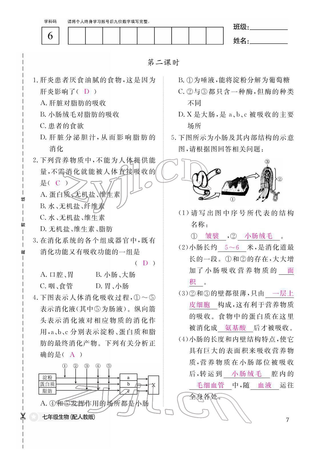 2022年作業(yè)本江西教育出版社七年級(jí)生物下冊(cè)人教版 參考答案第7頁(yè)