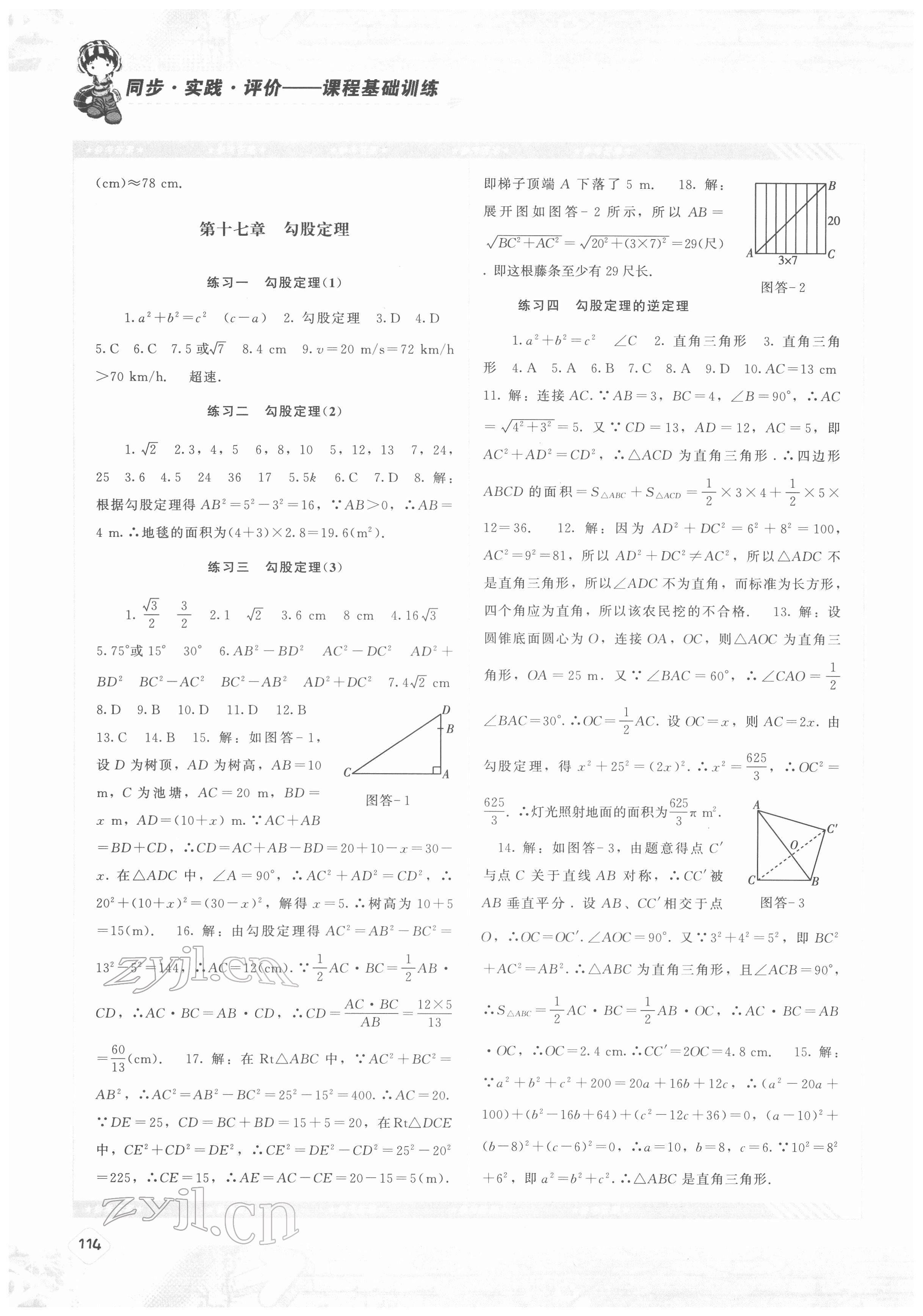 2022年同步實(shí)踐評價(jià)課程基礎(chǔ)訓(xùn)練八年級數(shù)學(xué)下冊人教版 參考答案第3頁