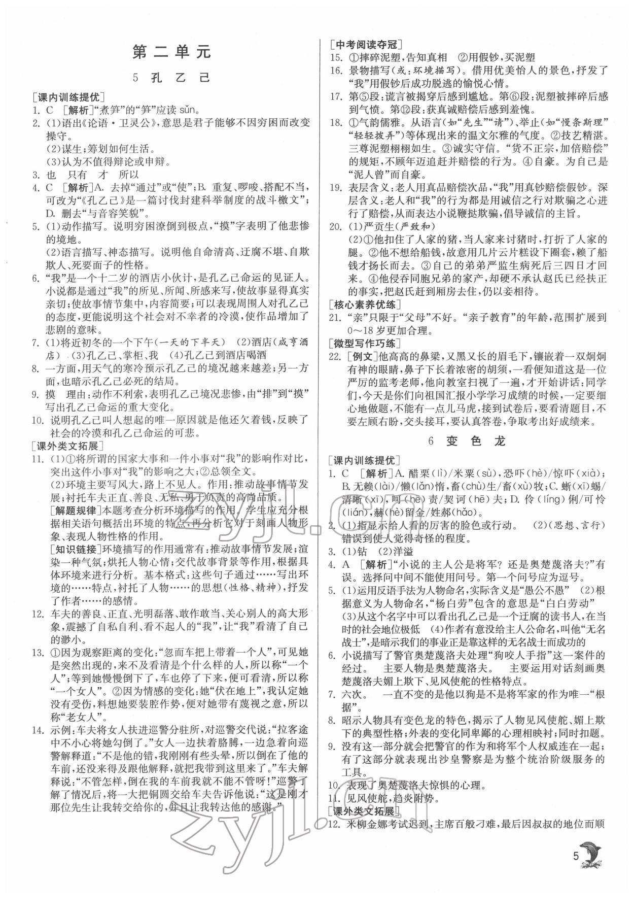 2022年實(shí)驗(yàn)班提優(yōu)訓(xùn)練九年級(jí)語(yǔ)文下冊(cè)人教版 第5頁(yè)