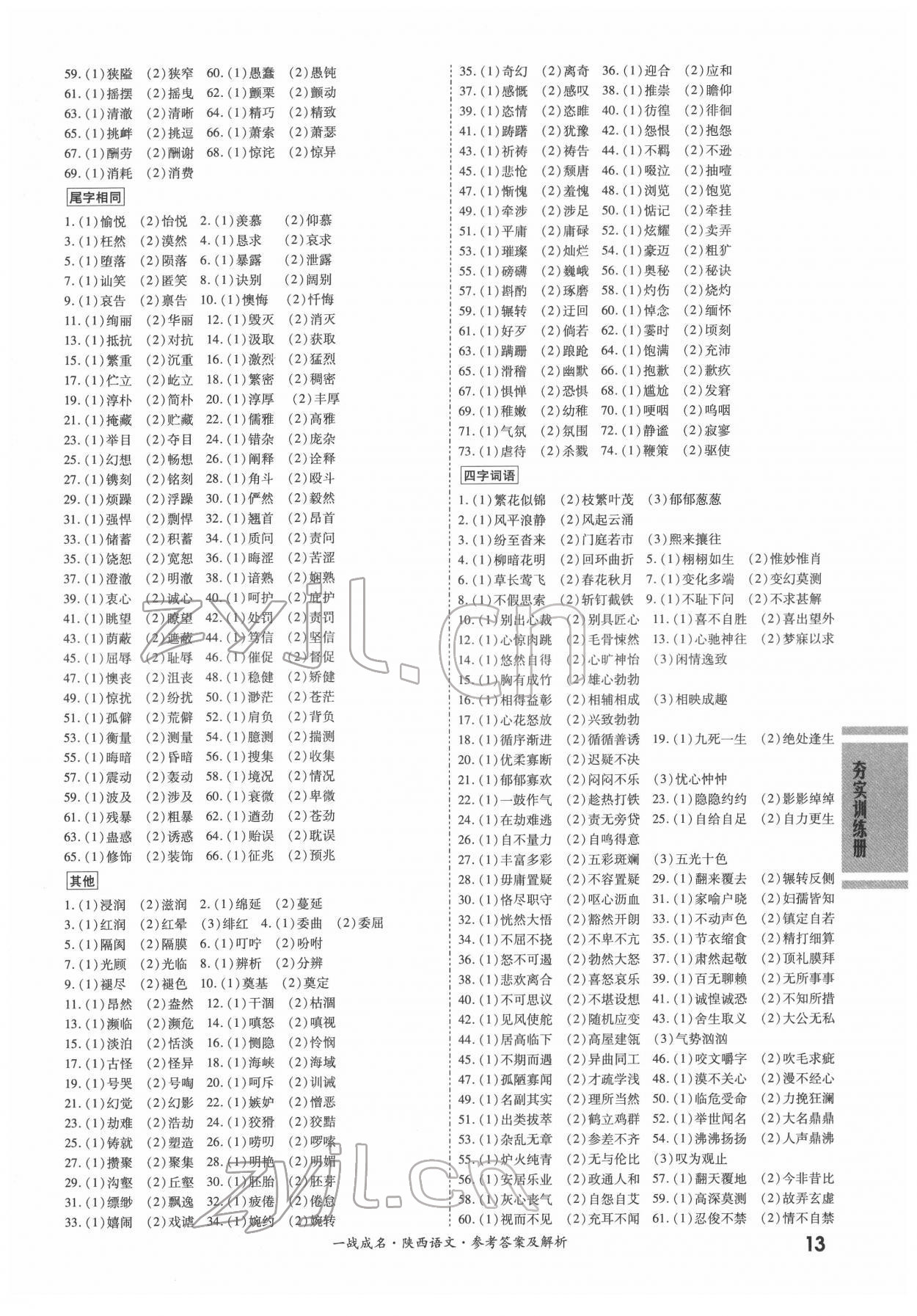 2022年一戰(zhàn)成名考前新方案語(yǔ)文陜西中考 第13頁(yè)