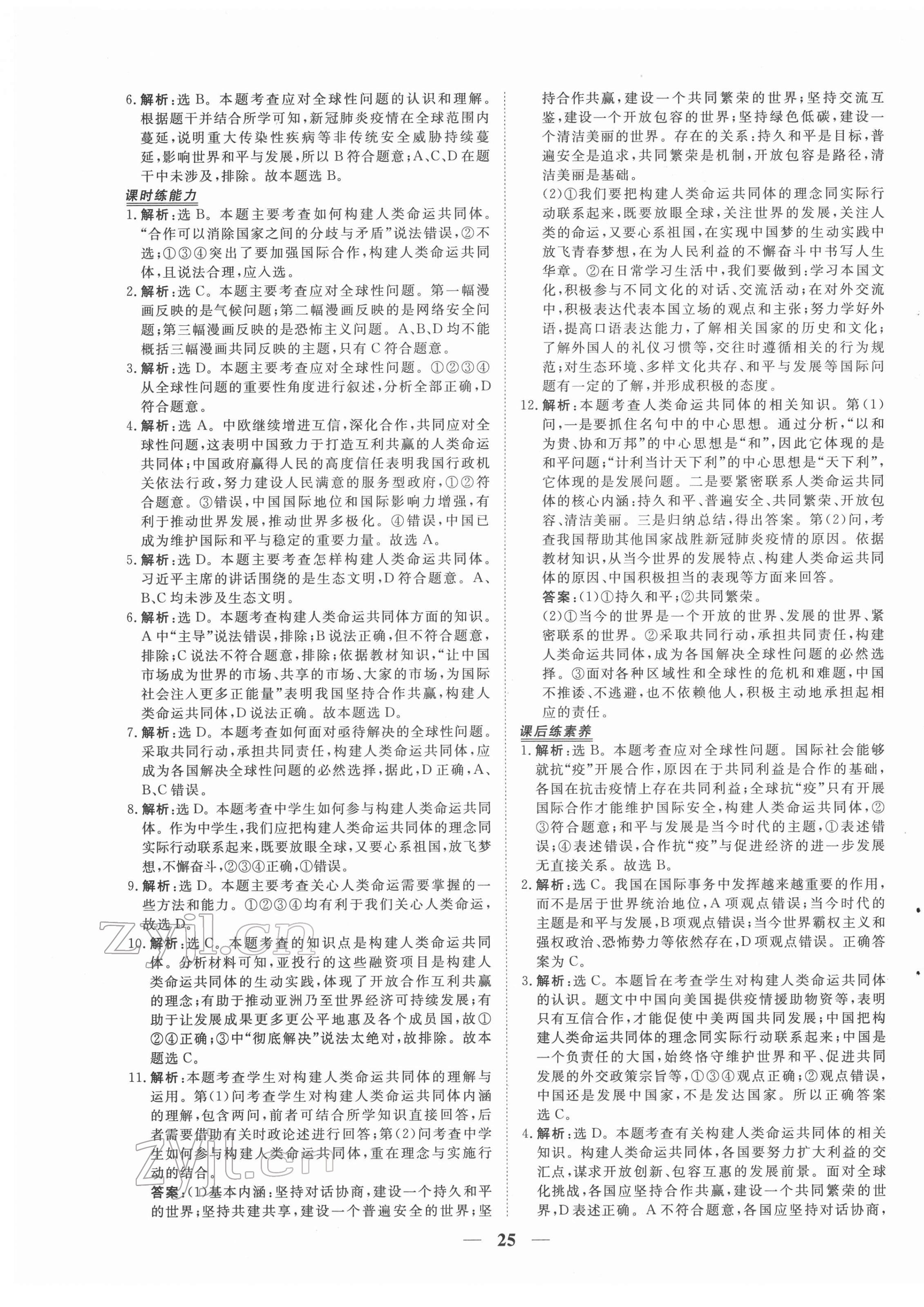 2022年新坐標(biāo)同步練習(xí)九年級道德與法治下冊人教版 第5頁