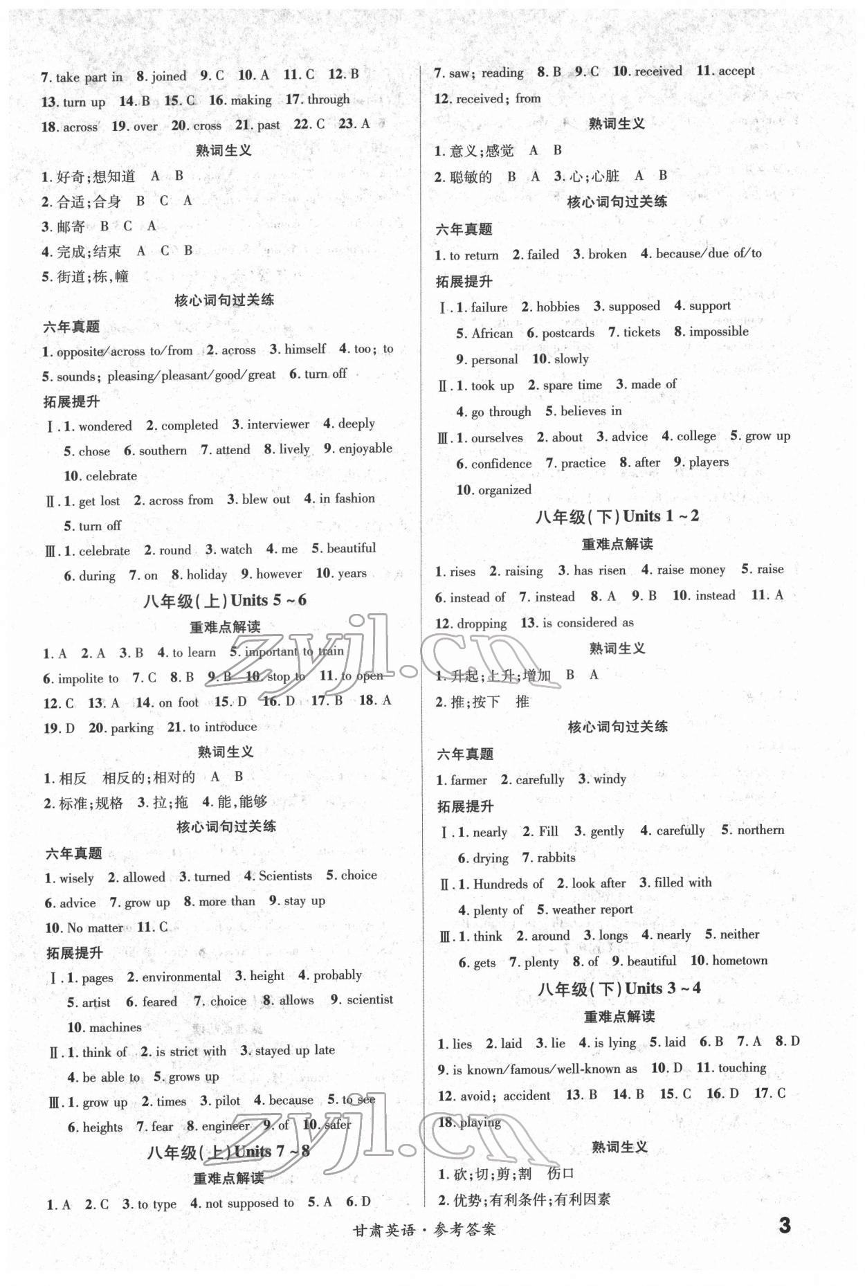 2022年練客中考提優(yōu)方案英語冀教版甘肅專版 第3頁