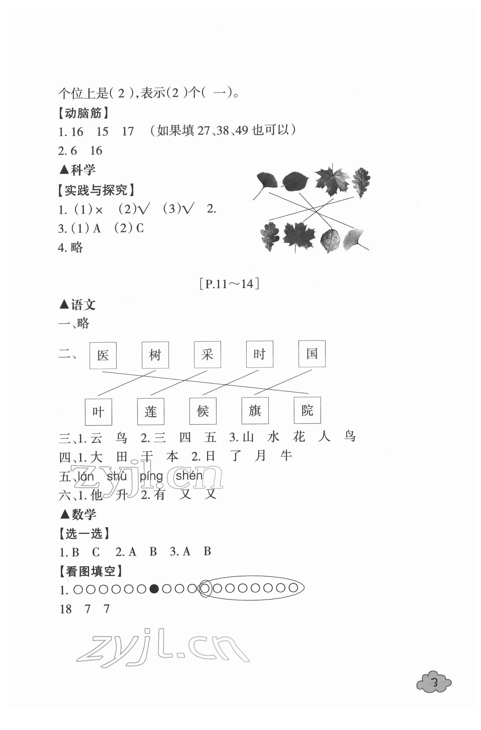 2022年寒假学与练浙江少年儿童出版社一年级综合人教版&nbsp;参考答案第3页