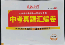 2022年星躍龍門中考真題匯編卷化學(xué)人教版山東專版