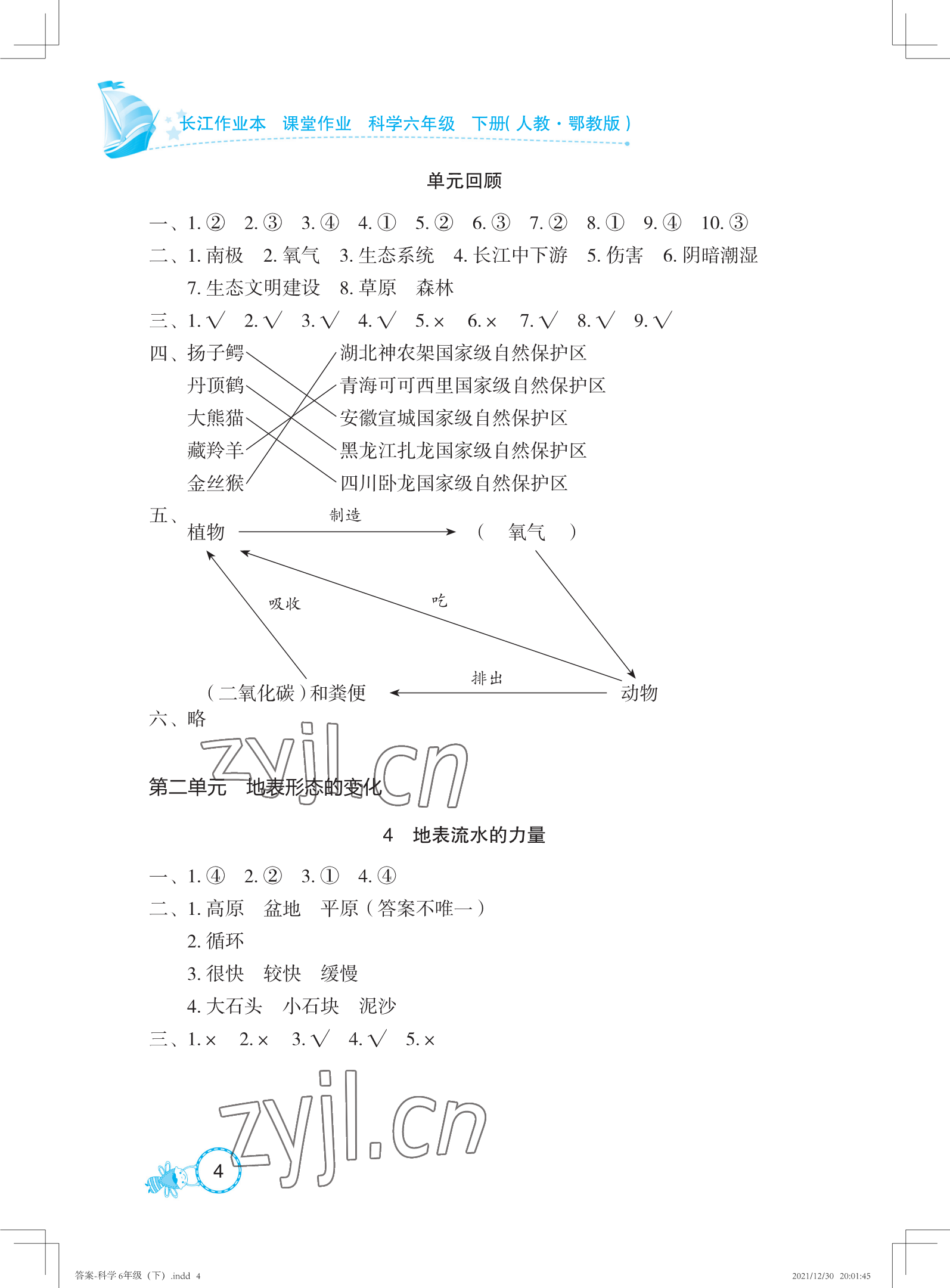 2022年長(zhǎng)江作業(yè)本課堂作業(yè)六年級(jí)科學(xué)下冊(cè)鄂教版 參考答案第4頁(yè)