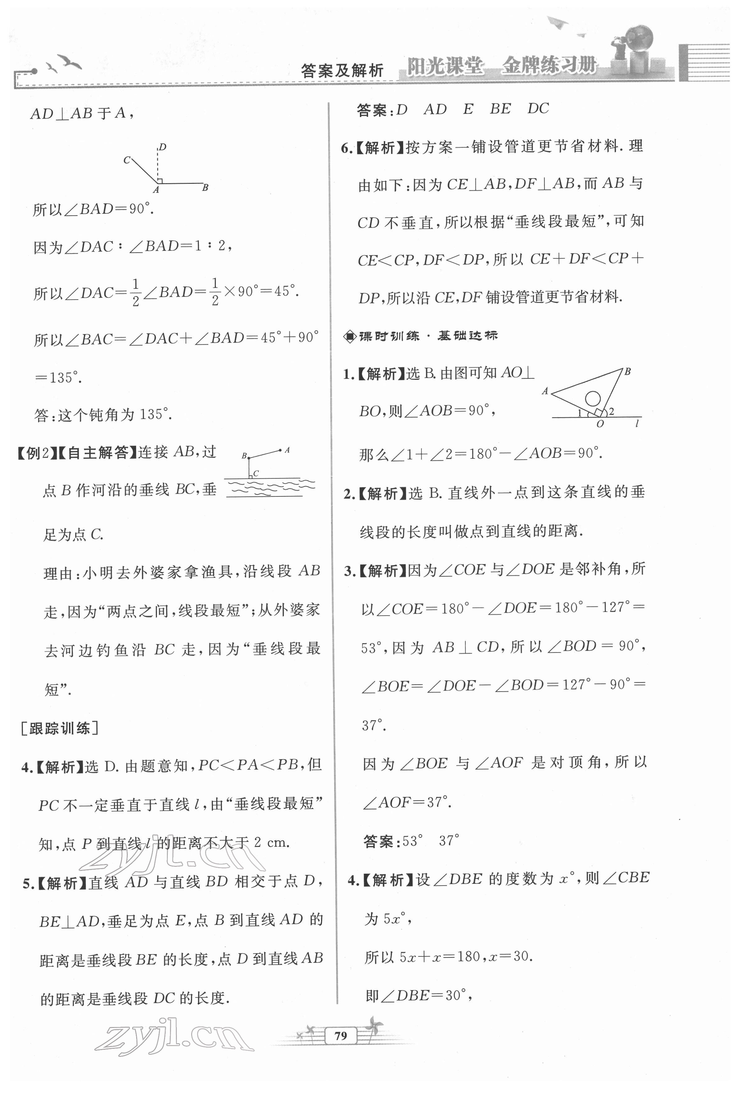 2022年陽光課堂金牌練習(xí)冊七年級數(shù)學(xué)下冊人教版福建專版 第3頁