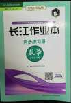 2022年長江作業(yè)本同步練習(xí)冊七年級數(shù)學(xué)下冊人教版