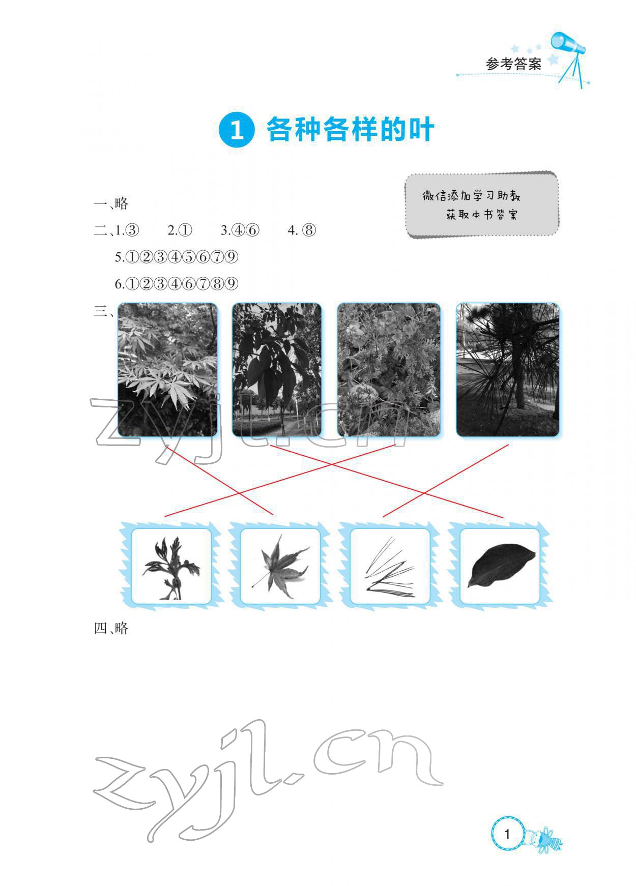 2022年長江作業(yè)本課堂作業(yè)一年級科學(xué)下冊鄂教版 參考答案第1頁