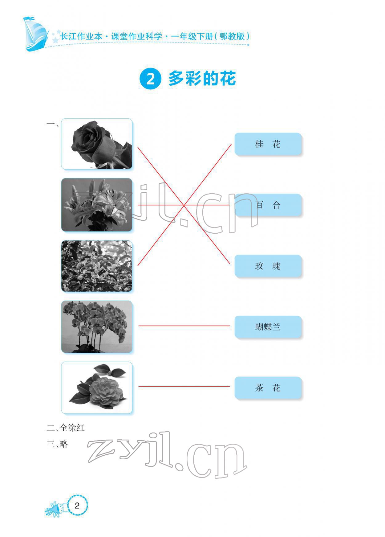 2022年長江作業(yè)本課堂作業(yè)一年級科學下冊鄂教版 參考答案第2頁