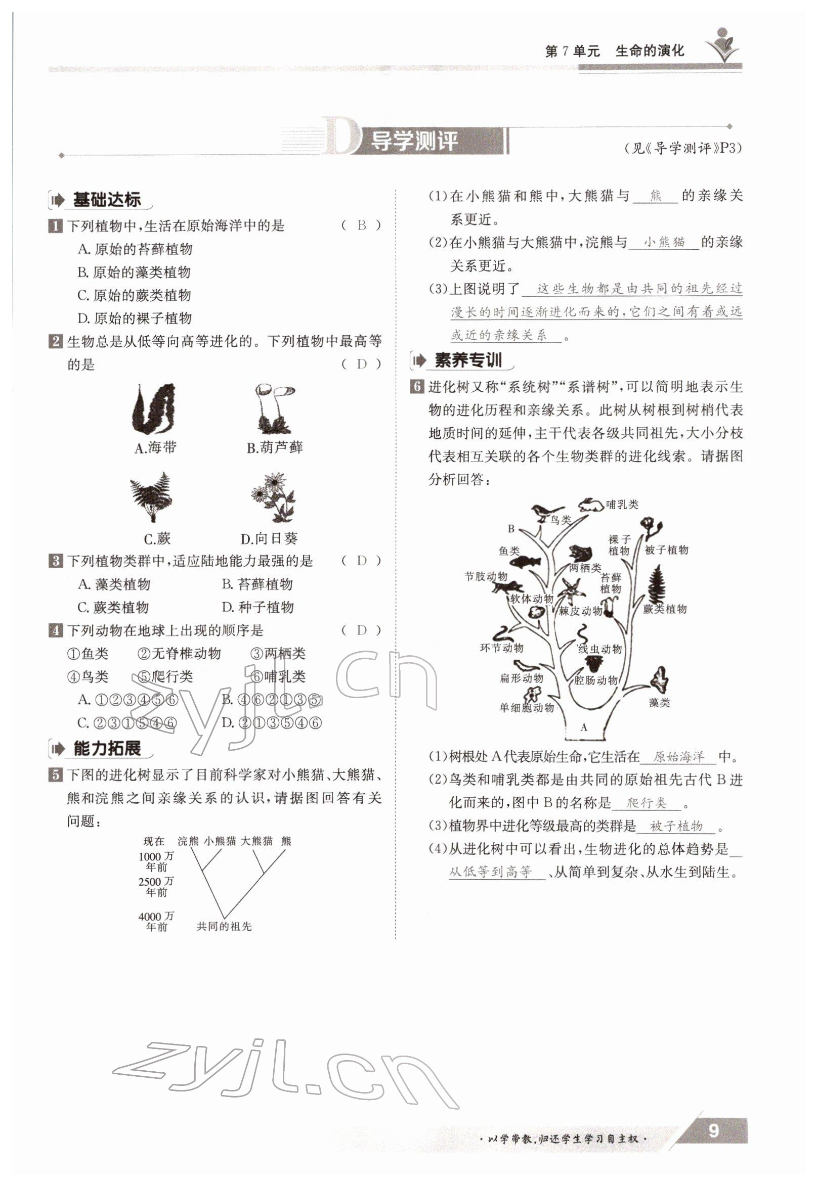 2022年金太阳导学案八年级生物下册北师大版 参考答案第9页