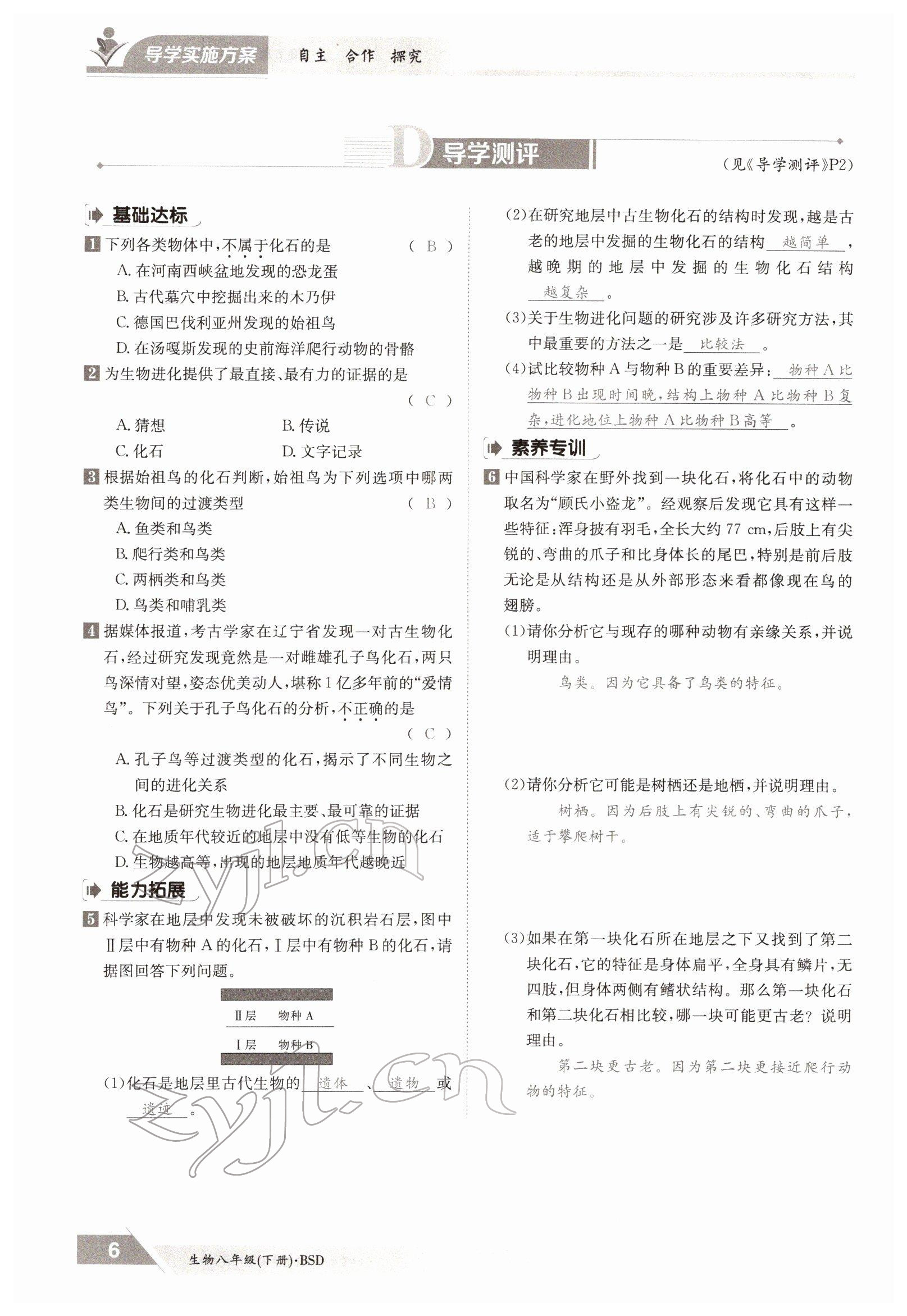 2022年金太陽(yáng)導(dǎo)學(xué)案八年級(jí)生物下冊(cè)北師大版 參考答案第6頁(yè)