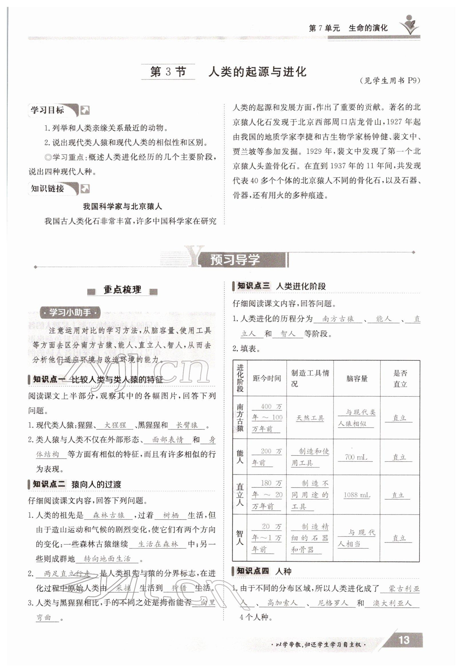 2022年金太阳导学案八年级生物下册北师大版 参考答案第13页