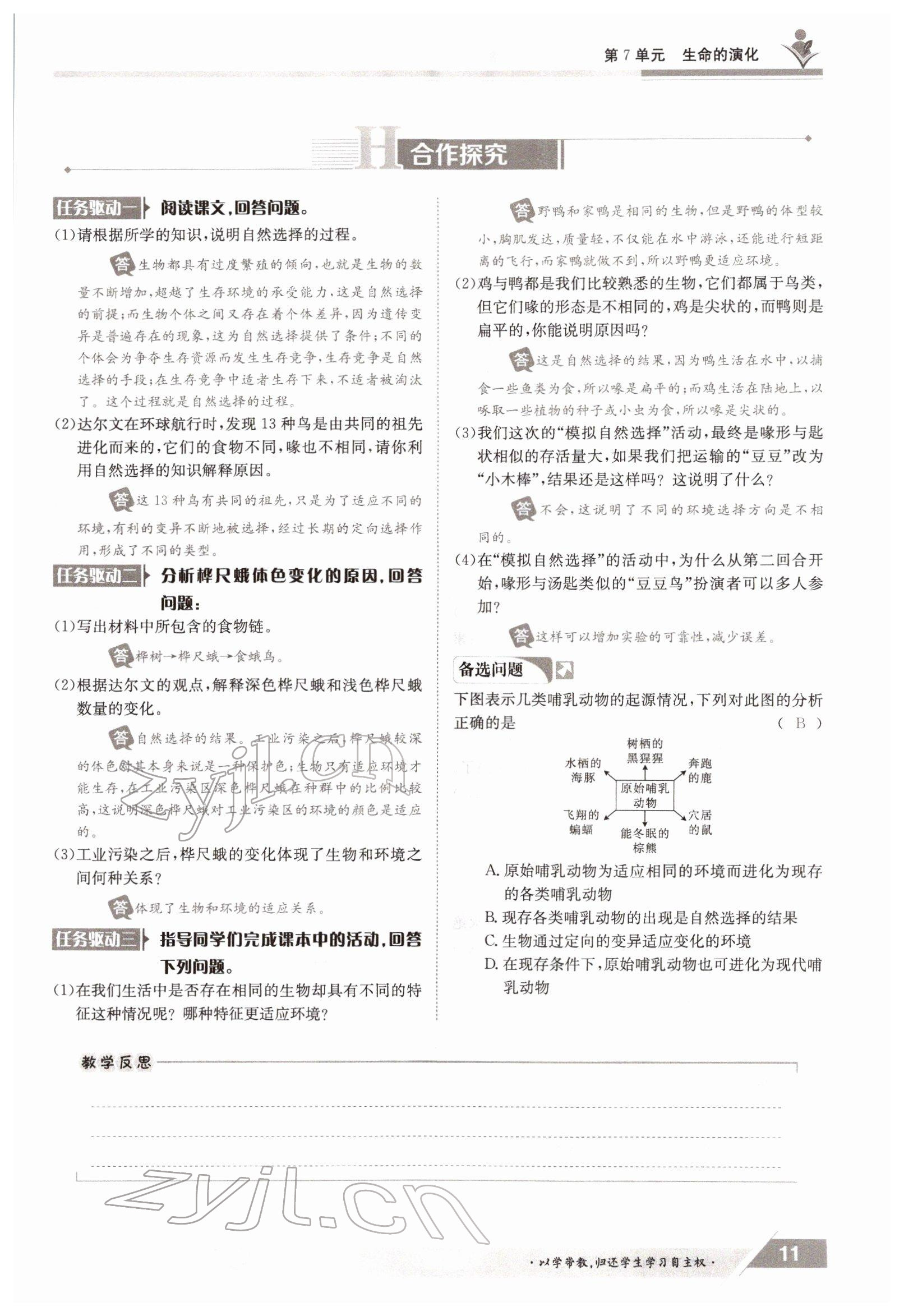 2022年金太阳导学案八年级生物下册北师大版 参考答案第11页