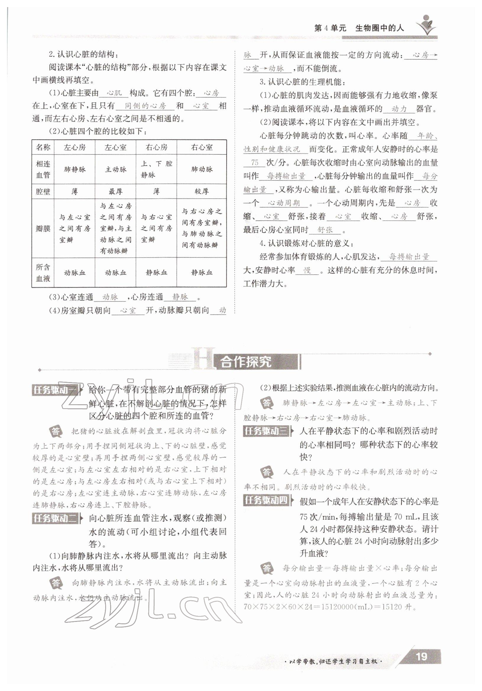 2022年金太阳导学案七年级生物下册北师大版 参考答案第19页