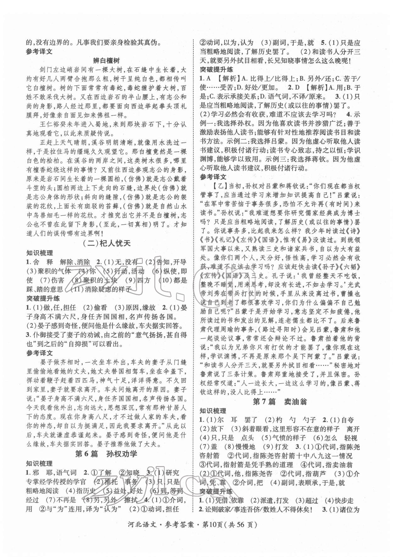 2022年鴻鵠志文化中考命題研究中考王語文河北專版 第10頁