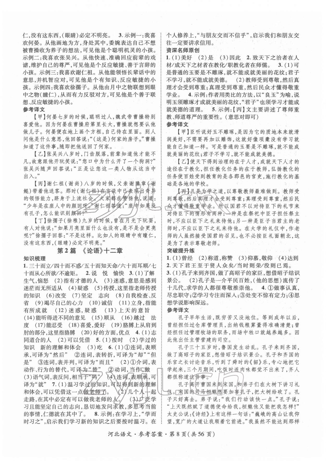 2022年鴻鵠志文化中考命題研究中考王語文河北專版 第8頁