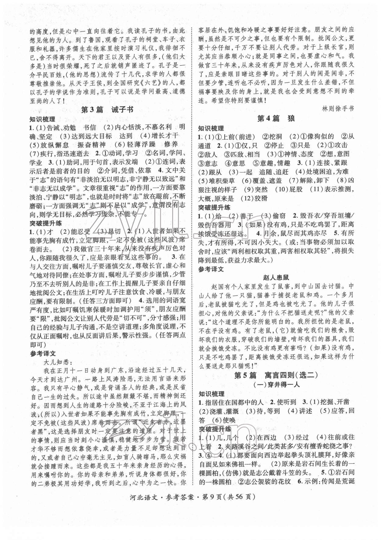 2022年鴻鵠志文化中考命題研究中考王語(yǔ)文河北專版 第9頁(yè)