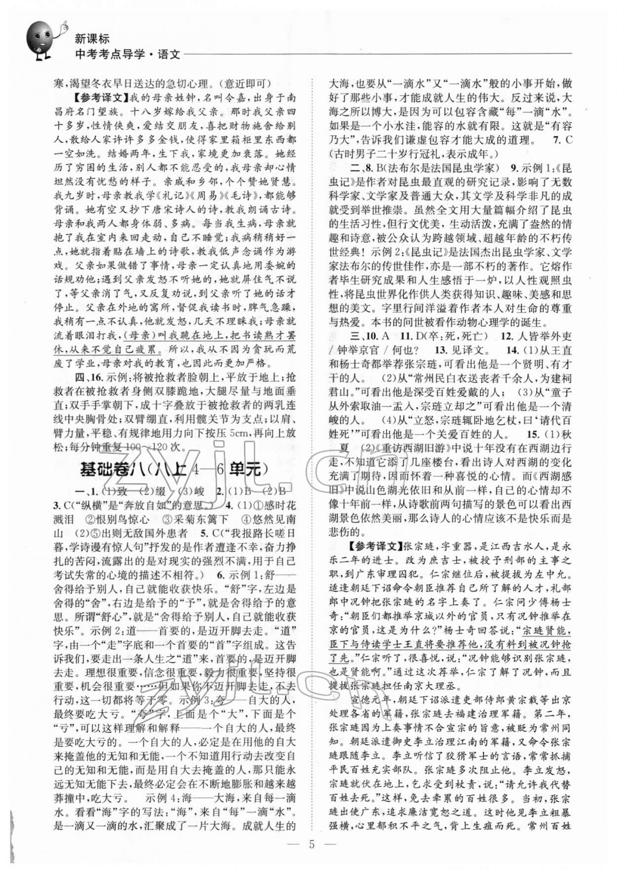 2022年初中語文基礎(chǔ)知識加文言文中考精煉 第5頁