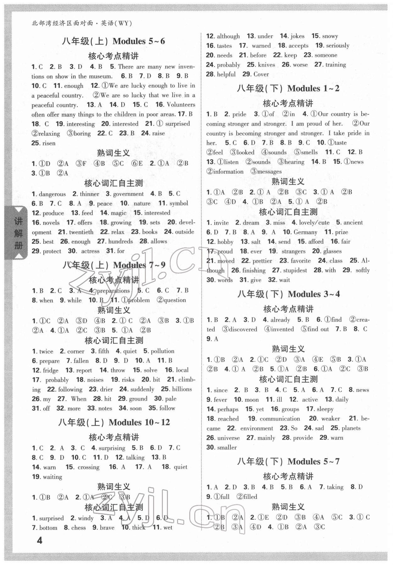 2022年北部湾经济区中考面对面英语外研版 参考答案第3页