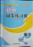 2022年同步練習(xí)冊六年級數(shù)學(xué)下冊魯教版54制山東教育出版社