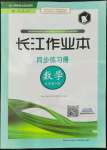 2022年長江作業(yè)本同步練習冊九年級數(shù)學下冊人教版