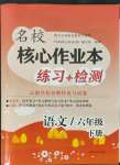 2022年名校核心作業(yè)本練習(xí)加檢測六年級語文下冊人教版