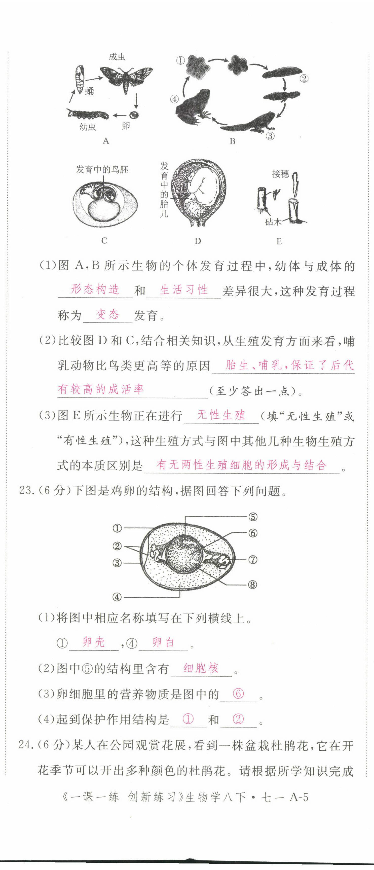 2022年一课一练创新练习八年级生物下册人教版 第5页