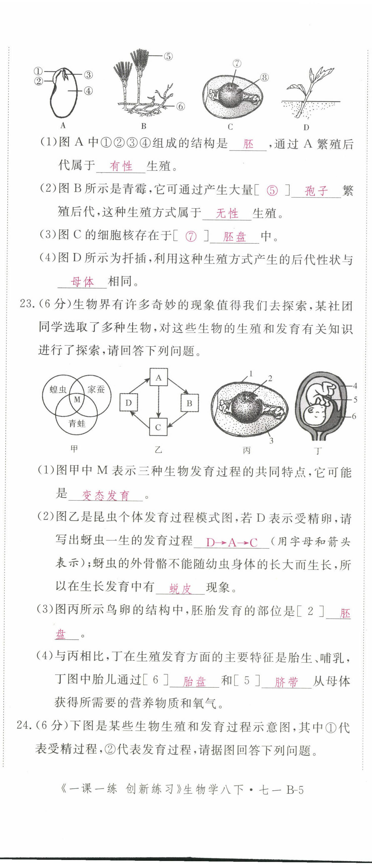 2022年一课一练创新练习八年级生物下册人教版 第11页