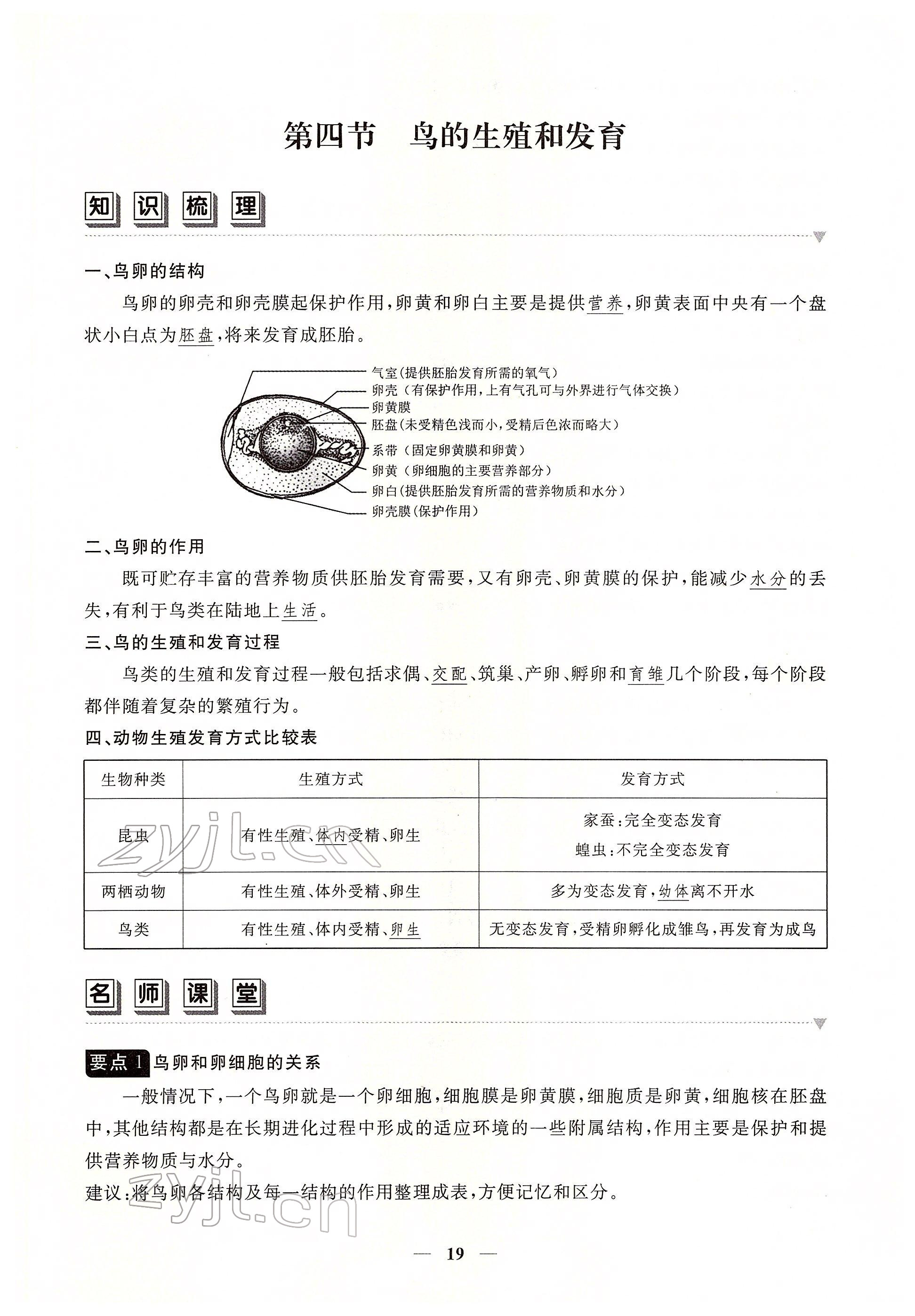 2022年一課一練創(chuàng)新練習(xí)八年級生物下冊人教版 參考答案第19頁