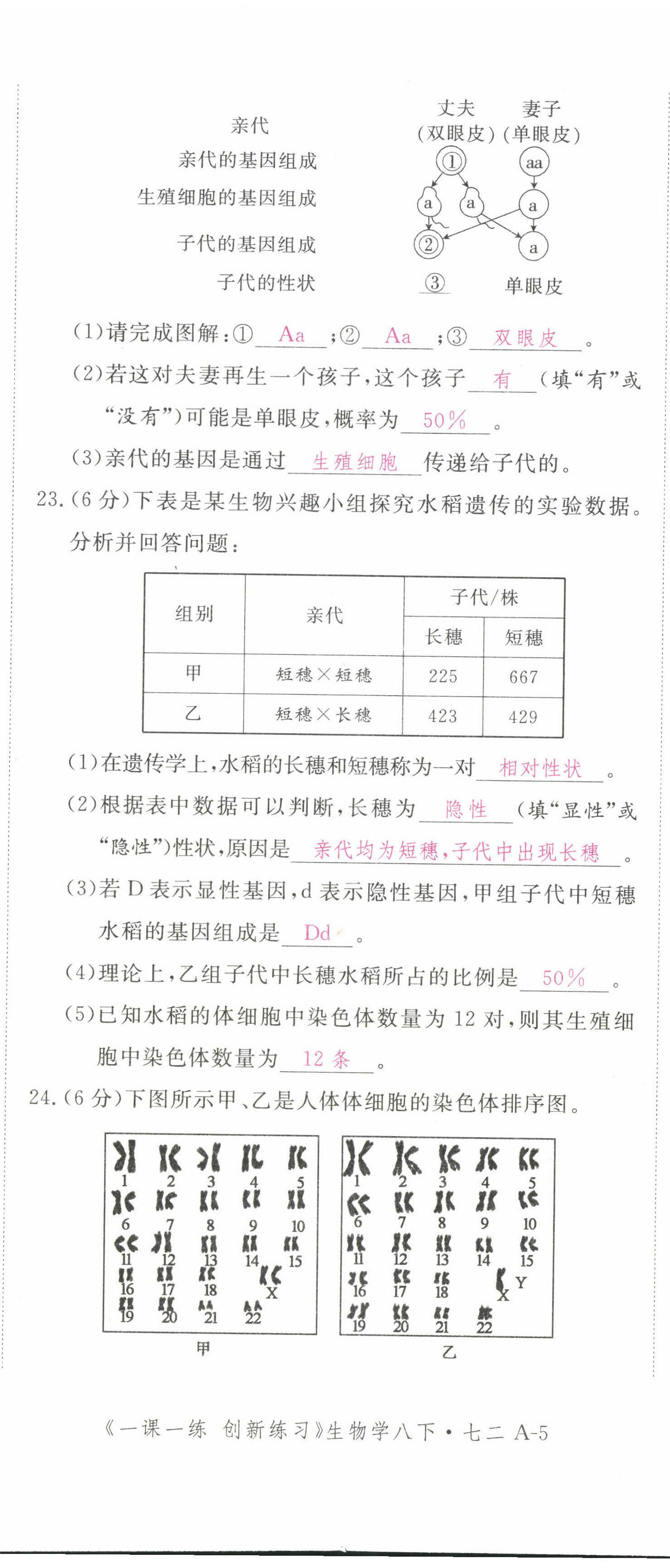 2022年一课一练创新练习八年级生物下册人教版 第17页