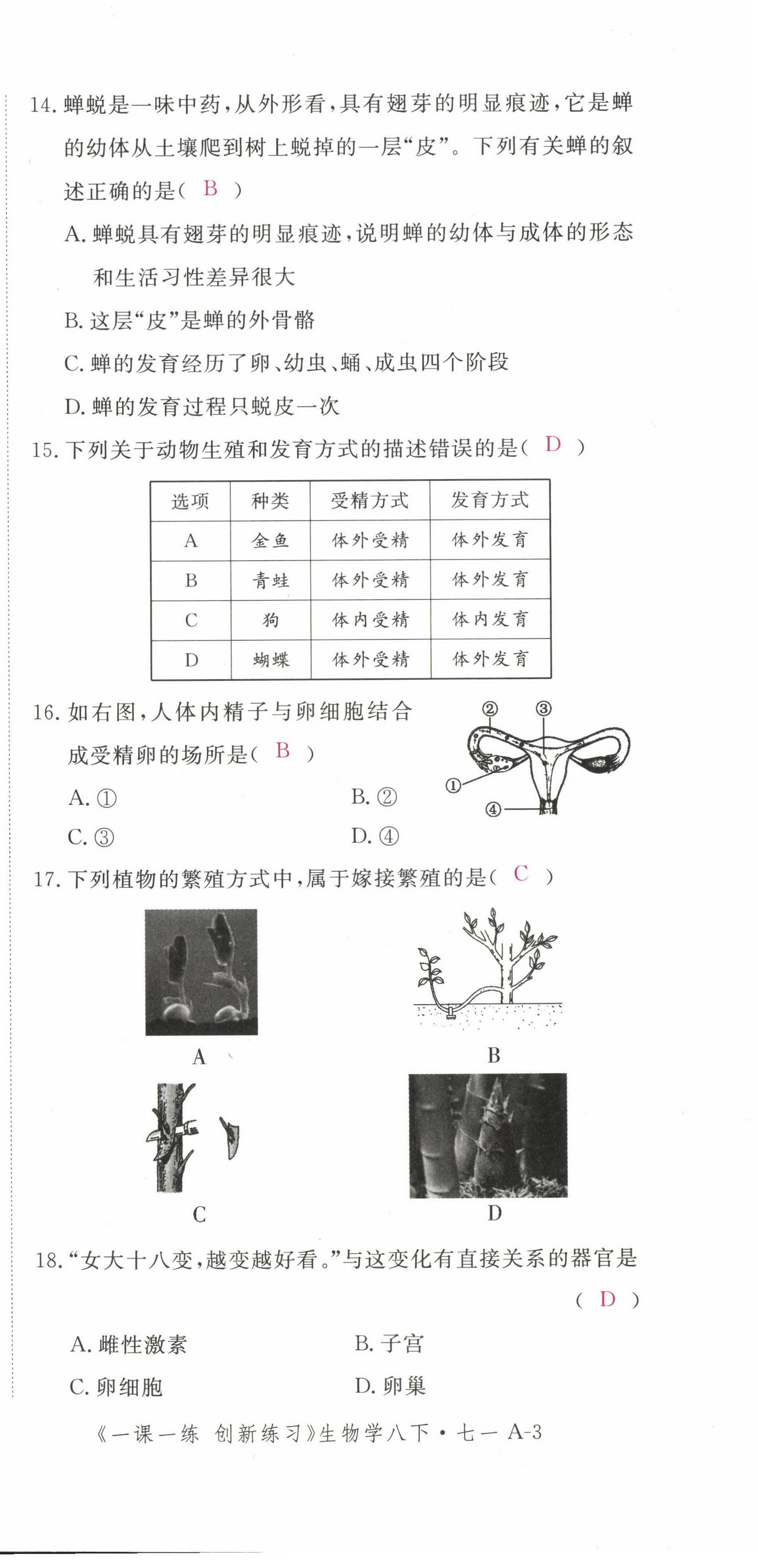 2022年一课一练创新练习八年级生物下册人教版 第3页