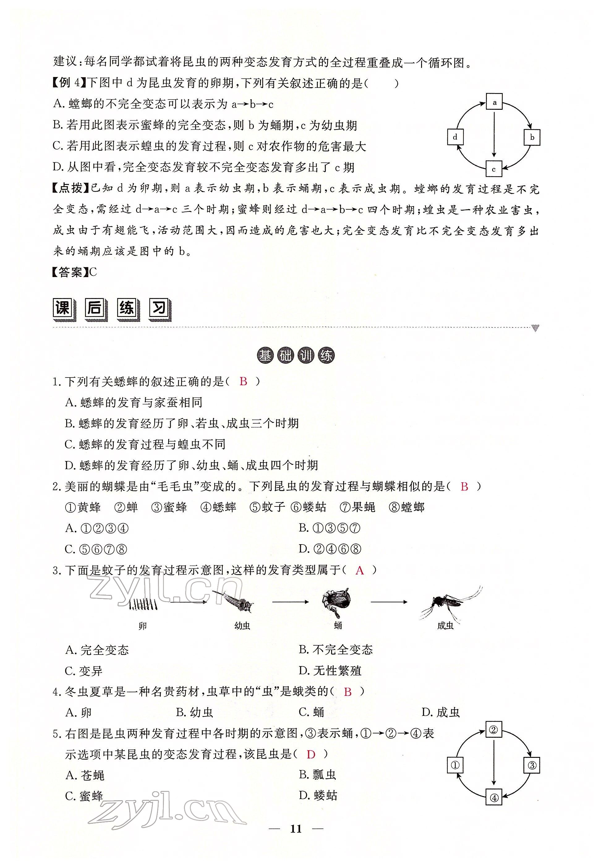 2022年一课一练创新练习八年级生物下册人教版 参考答案第11页