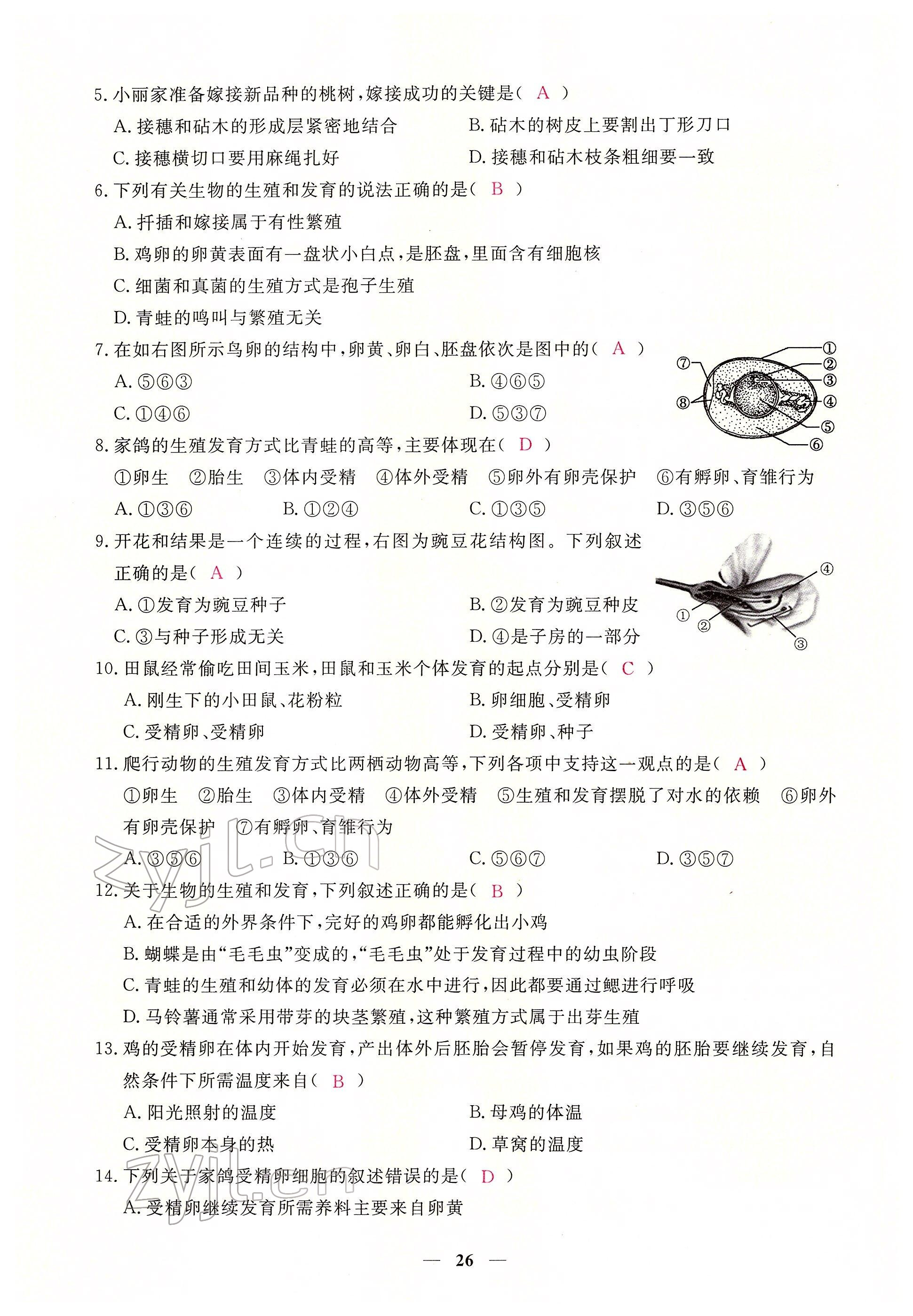 2022年一課一練創(chuàng)新練習八年級生物下冊人教版 參考答案第26頁