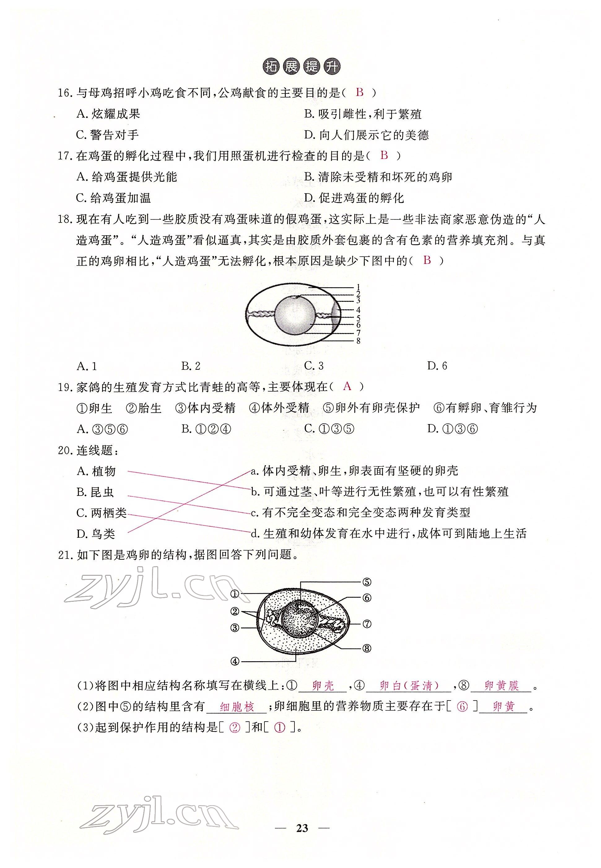 2022年一课一练创新练习八年级生物下册人教版 参考答案第23页