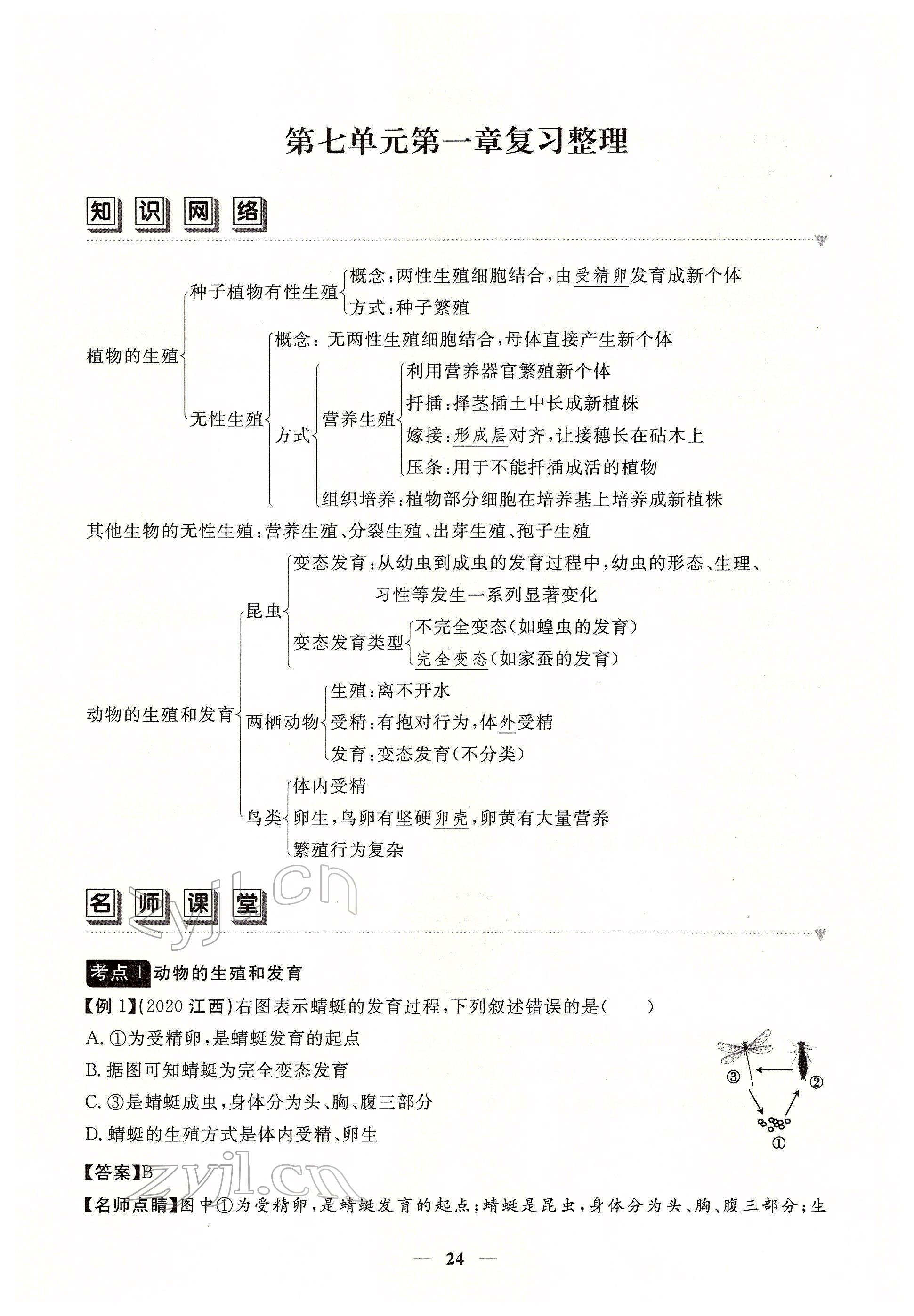 2022年一課一練創(chuàng)新練習(xí)八年級(jí)生物下冊(cè)人教版 參考答案第24頁(yè)