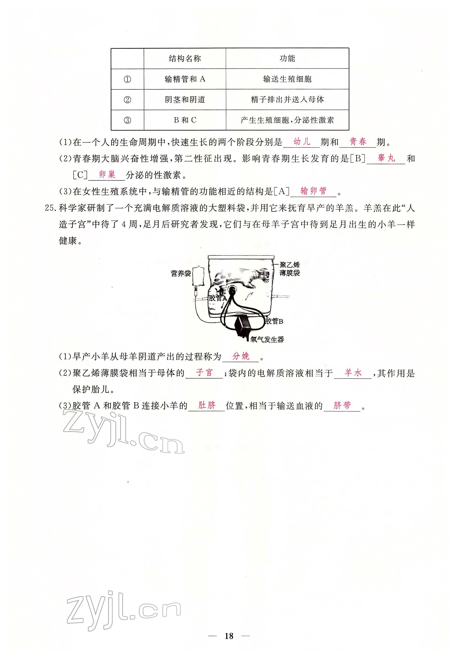 2022年一课一练创新练习七年级生物下册人教版 参考答案第18页