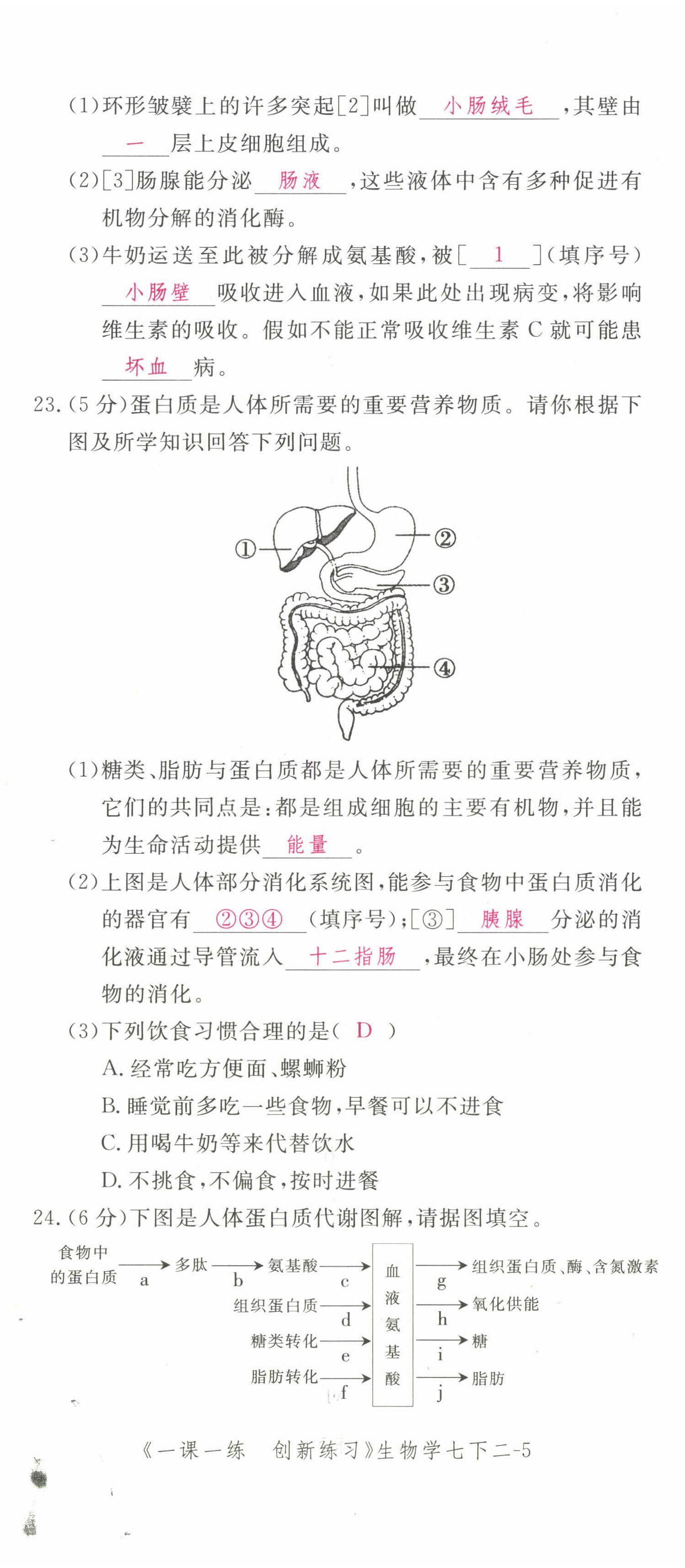 2022年一课一练创新练习七年级生物下册人教版 第11页