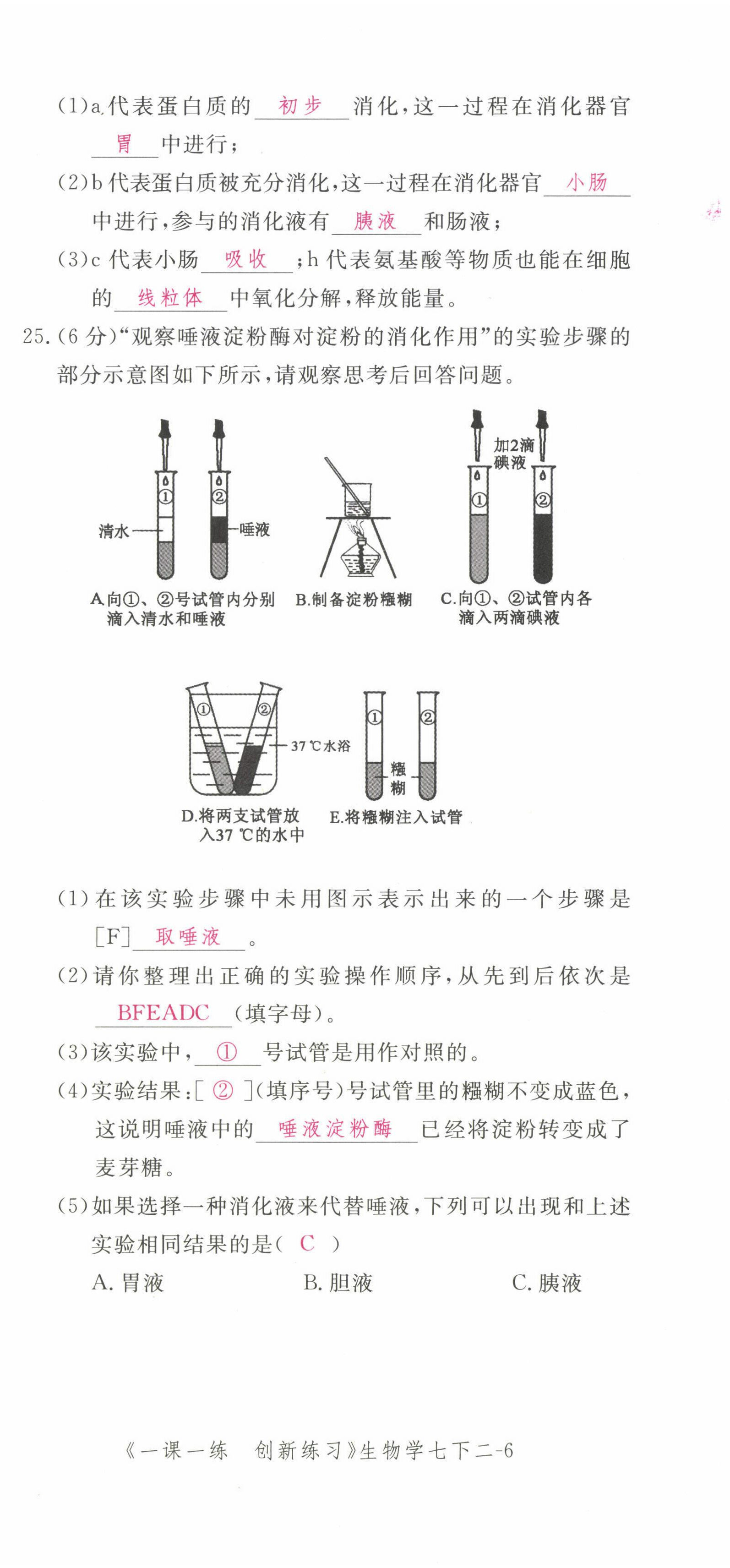 2022年一課一練創(chuàng)新練習(xí)七年級(jí)生物下冊(cè)人教版 第12頁(yè)