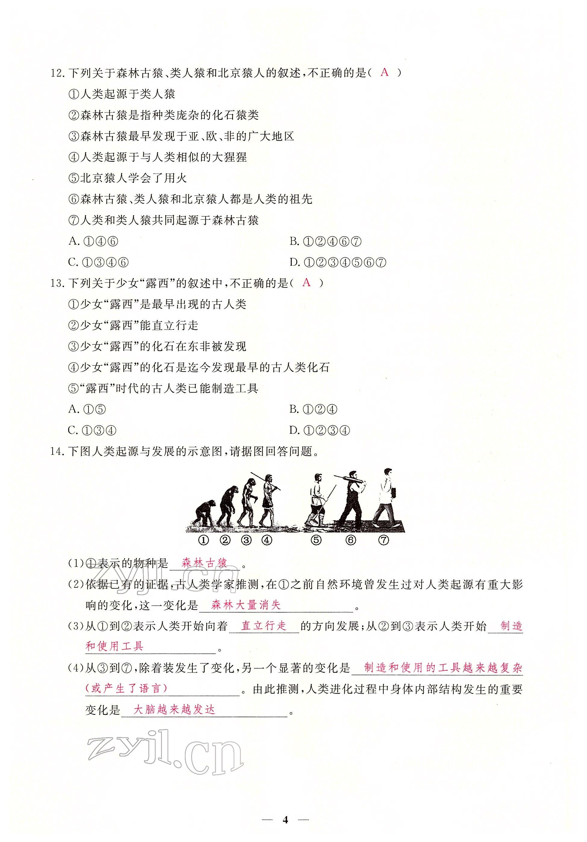 2022年一課一練創(chuàng)新練習(xí)七年級生物下冊人教版 參考答案第4頁