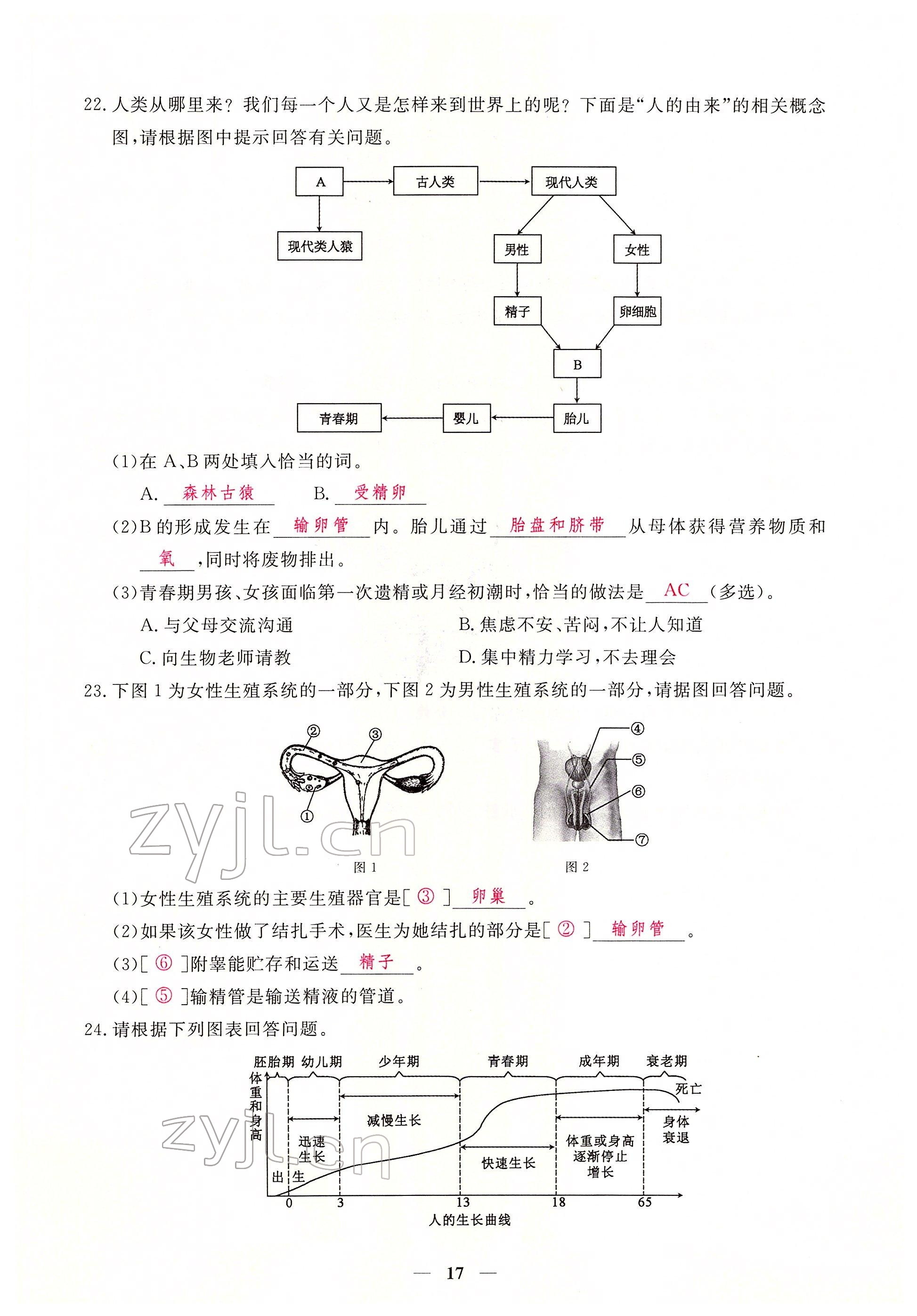 2022年一课一练创新练习七年级生物下册人教版 参考答案第17页