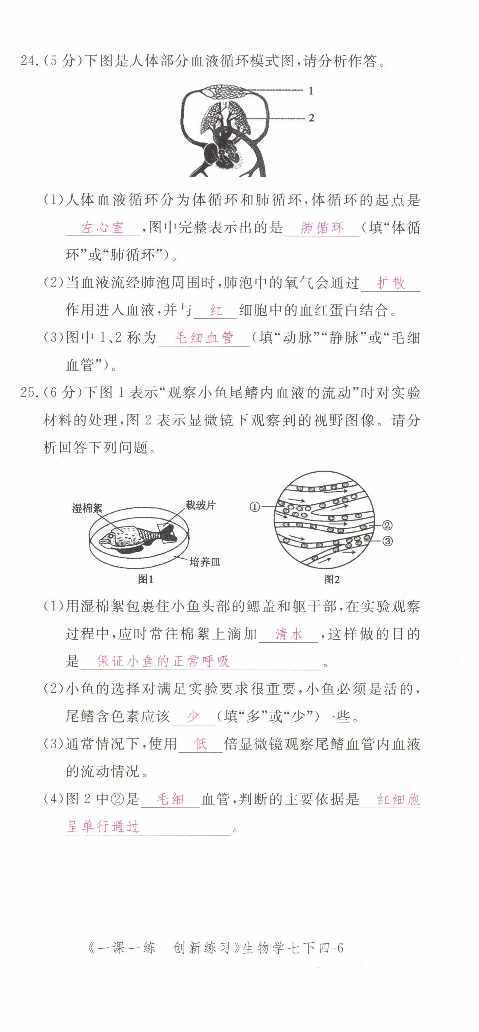 2022年一课一练创新练习七年级生物下册人教版 第24页